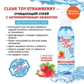 Очищающий спрей для игрушек CLEAR TOY Strawberry - 100 мл. - Биоритм - купить с доставкой в Димитровграде