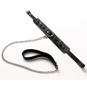 Черный ошейник с шипами и поводком - Crazy Handmade - купить с доставкой в Димитровграде