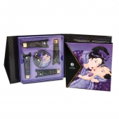 Подарочный набор Geishas secret из 5 предметов - Shunga - купить с доставкой в Димитровграде