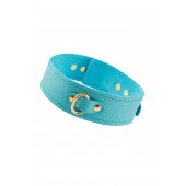 Голубой кожаный однослойный ошейник с прошивкой - Pecado - купить с доставкой в Димитровграде