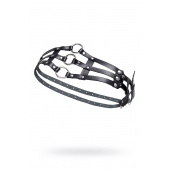 Черный кожаный пояс с кольцами - Pecado - купить с доставкой в Димитровграде