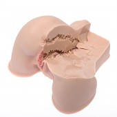 Мастурбатор-полуторс Naked Factory Kate - Naked Factory - в Димитровграде купить с доставкой