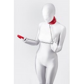 Красный ошейник с подкладкой из меха - ToyFa - купить с доставкой в Димитровграде