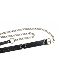 Черный ошейник с поводком Wild - Lola Games - купить с доставкой в Димитровграде