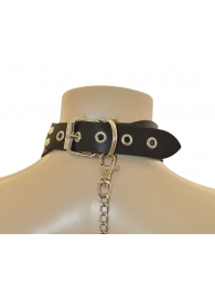 Ошейник  Веселый Роджер - Sitabella - купить с доставкой в Димитровграде