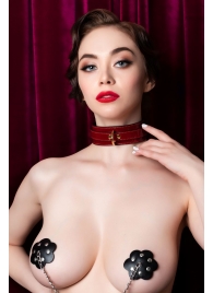 Красный ошейник из лакированного материала - ToyFa - купить с доставкой в Димитровграде