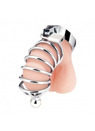 Серебристая клетка для члена Urethral Play Cage - BlueLine - купить с доставкой в Димитровграде