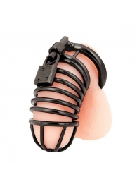 Черная металлическая клетка с замком Deluxe Chastity Cage - BlueLine - купить с доставкой в Димитровграде