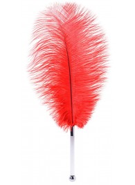 Красное страусовое пёрышко - ToyFa - купить с доставкой в Димитровграде