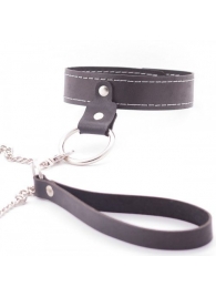 Узкий однослойный ошейник с поводком - Crazy Handmade - купить с доставкой в Димитровграде