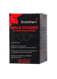 Капсулы для мужчин Erotichard male power с пантогематогеном - 20 капсул (0,370 гр.) - Erotic Hard - купить с доставкой в Димитровграде