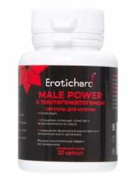 Капсулы для мужчин Erotichard male power с пантогематогеном - 20 капсул (0,370 гр.) - Erotic Hard - купить с доставкой в Димитровграде
