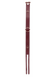 Бордовый ремень Halo Waist Belt - размер L-XL - Shots Media BV - купить с доставкой в Димитровграде