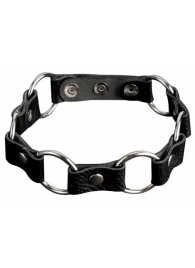 Кожаный черный ошейник с кольцами - Sitabella - купить с доставкой в Димитровграде