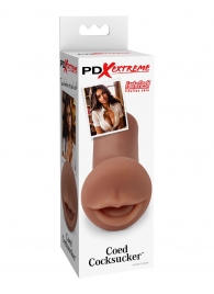 Мастурбатор-ротик Coed Cocksucker - Pipedream - в Димитровграде купить с доставкой
