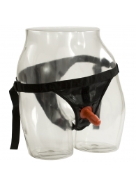 Трусики со штырьком для фиксации насадок Ultra Harness with Plug - Doc Johnson - купить с доставкой в Димитровграде