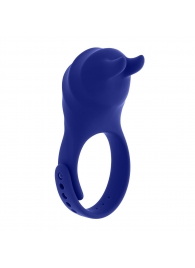 Синее эрекционное виброкольцо с клиторальной подушечкой и пультом ДУ Adjustable Fun Ring - Zero Tolerance - в Димитровграде купить с доставкой