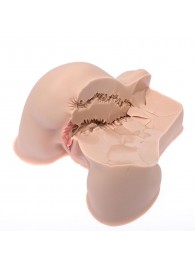 Мастурбатор-полуторс Naked Factory Kate - Naked Factory - в Димитровграде купить с доставкой