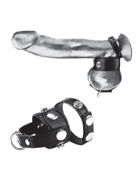 Утяжка для мошонки и пениса Cock Ring With 1  Ball Stretcher And Optional Weight Ring - BlueLine - купить с доставкой в Димитровграде