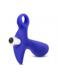 Синий стимулятор простаты с ручкой-кольцом Performance Prostimulator 02 - Blush Novelties - в Димитровграде купить с доставкой