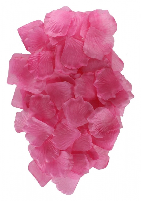 Эротический набор FANTASTIC PURPLE SEX TOY KIT - Toy Joy - купить с доставкой в Димитровграде