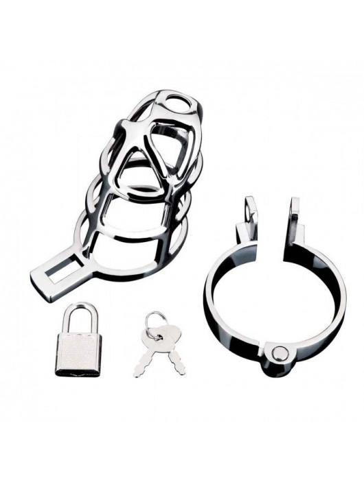 Серебристая металлическая клетка для члена с замком Enslave Cock Cage - BlueLine - купить с доставкой в Димитровграде