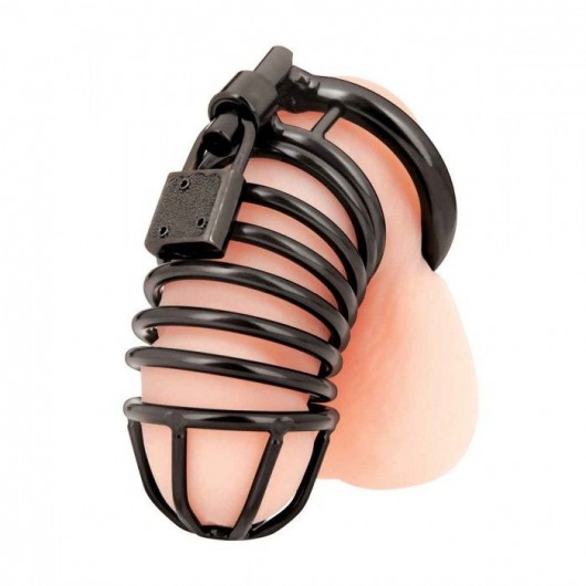 Черная металлическая клетка с замком Deluxe Chastity Cage - BlueLine - купить с доставкой в Димитровграде