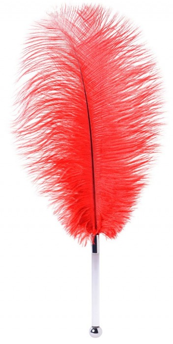Красное страусовое пёрышко - ToyFa - купить с доставкой в Димитровграде