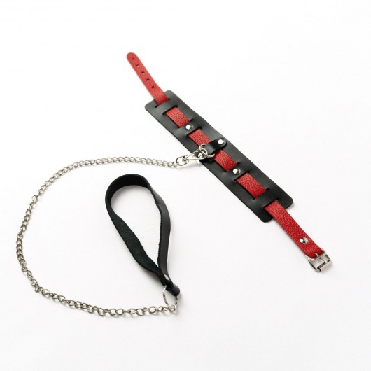 Черный ошейник с красным ремешком и поводком - Crazy Handmade - купить с доставкой в Димитровграде