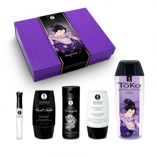 Подарочный набор Naughter Kit - Shunga - купить с доставкой в Димитровграде