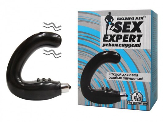 Чёрный массажёр простаты серии Sex Expert - Sex Expert - в Димитровграде купить с доставкой