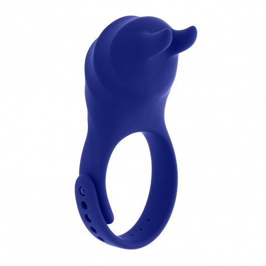 Синее эрекционное виброкольцо с клиторальной подушечкой и пультом ДУ Adjustable Fun Ring - Zero Tolerance - в Димитровграде купить с доставкой