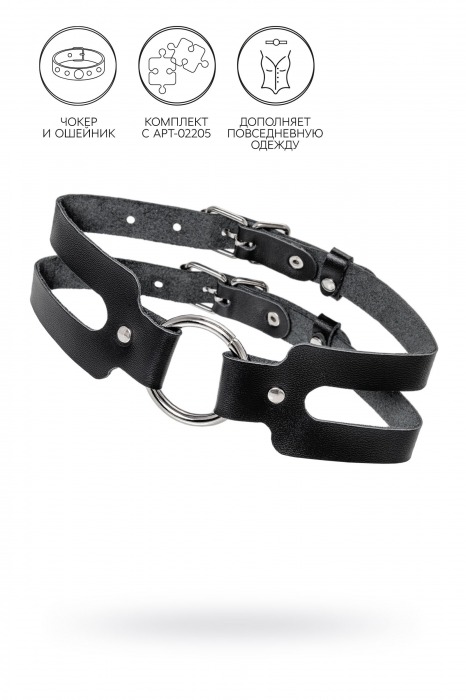 Черный кожаный чокер-ошейник из двух ремешков - Pecado - купить с доставкой в Димитровграде