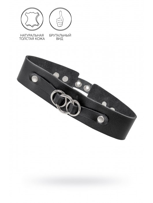Черный чокер-ошейник со связанными кольцами на подложке - Pecado - купить с доставкой в Димитровграде