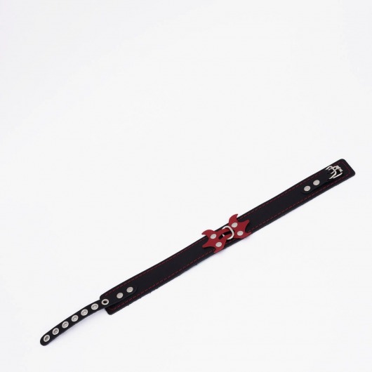 Черный ошейник с красным декором и строчкой - Crazy Handmade - купить с доставкой в Димитровграде