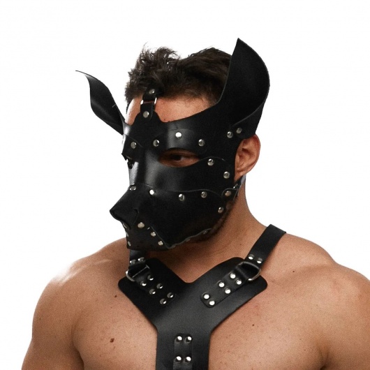 Черная кожаная маска «Собака» - Crazy Handmade - купить с доставкой в Димитровграде
