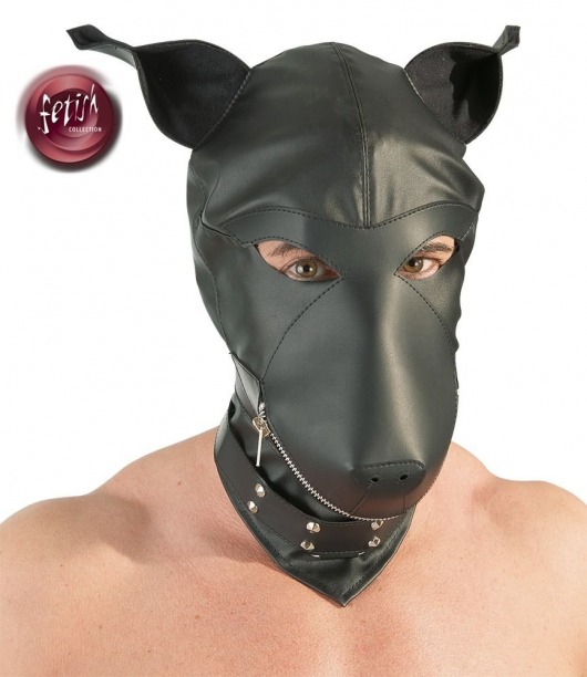 Шлем-маска Dog Mask в виде морды собаки - Orion - купить с доставкой в Димитровграде