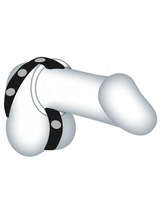 Подхват для мошонки с 3 съемными эрекционными кольцами Leder-Riemen - Orion - в Димитровграде купить с доставкой