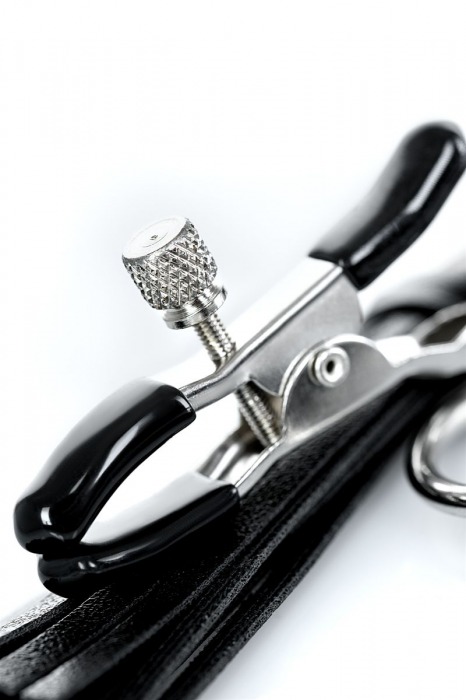 Черно-серебристые зажимы для сосков Theatre с кисточками - ToyFa - купить с доставкой в Димитровграде