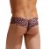 Мужские трусы-бразилиана с леопардовым принтом Micro Touch Hipster - Gauvine купить с доставкой Мужские трусы-бразилиана с леопардовым принтом Micro Touch Hipster - Gauvine купить с доставкой